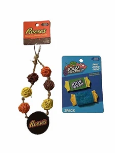 Tazza Reeses da masticare piccolo animale NUOVO Jolly Rancher set criceto gerbillo porcellino d'India giocattolo - Foto 1 di 17
