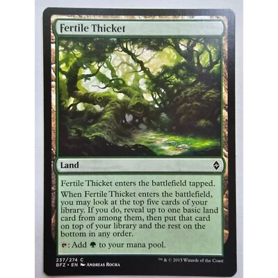MTG Magic The Gathering Fertile Thicket Land Card Battle For Zendikar - Image 1 of 2