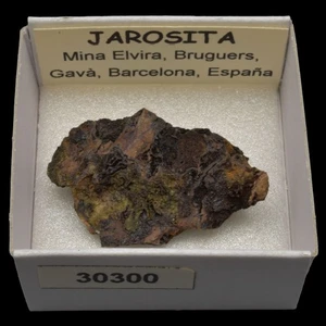 JAROSITA (Mina Elvira, Bruguers, Gava, Barcelona, España) #30300 / Jarosite - Picture 1 of 1