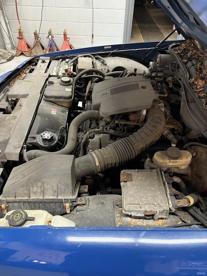 Used Engine Cooling Fan Motor fits: 2005 Ford Crown victoria Fan Assembly Grade Foto 1 de 4