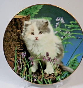 Plato de gato de coleccionista Purrfectly Priceless #A0752 edición limitada - 1995 - Imagen 1 de 3