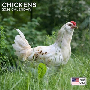 Chickens Calendar 2026 - Cute Animal Wall Calendar - Made in the USA! - Picture 1 of 8