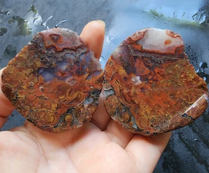 Fósil de estromatolito de 3,98 oz (113 gr), fósil agatizado, ágata roja áspera lapidaria - Imagen 1 de 17