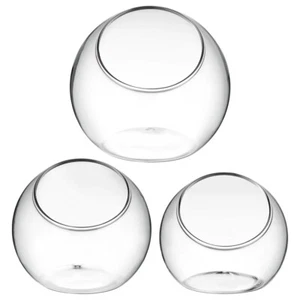 3 Pcs Hydroponics Clear Terrarium Bowl Air Plants Glass Containers Office - Picture 1 of 11