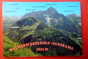 Walmendingerhorn Leporello - Panoramakarte Allgäuer Alpen Vorarlberg Österreich - Bild 1 von 6