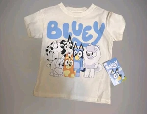 Bluey T-Shirt Toddler Boys Girls Size 4T - Picture 1 of 1