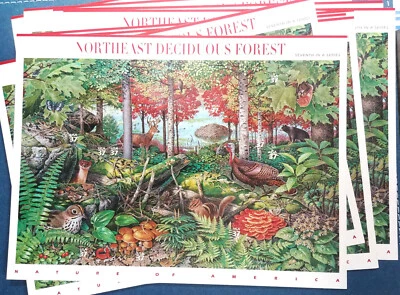 37 cent stamps Northeast Deciduous Forest 9 sheets panes of 10 Scott #3899 - Image 1 of 2