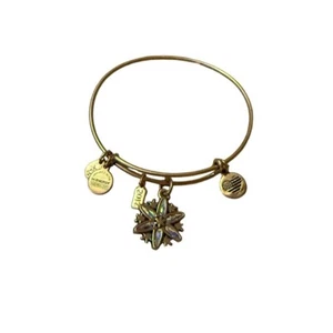 Alex and Ani Bronze Toned Bracelet w/ Charms Flower, Flag heart, energy - Picture 1 of 4