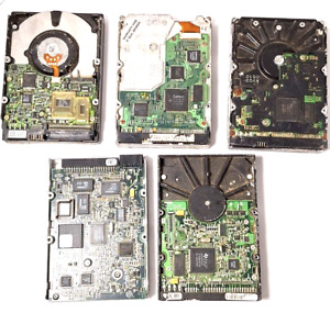 Hard Drive Circuit Board Computer Parts (Lot of 5) IBM Quantum & Maxtor HDD
