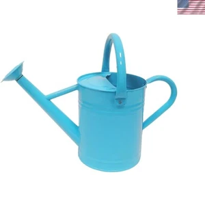 Metal Watering Can for Outdoor and Indoor Plants, Watering Can Decor, 1 Gallo... - Picture 1 of 4