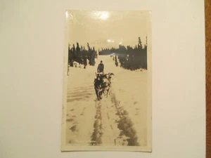RPPC Postcard Ranger on Patrol Dog sled team Real Photo  - Picture 1 of 2