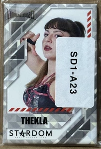 Thekla Stardom X Webpon 3" Pinback Rectangle Metal Badge Idol Killer HATE AEW - Picture 1 of 2