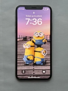 Apple iPhone X - 256 Go - Argent (Désimlocké par fabricant) - Regardez l'écran - Photo 1 sur 17