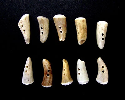 CUTE ANTLER BUTTONS,1"&LESS,TOGGLES,TINES,10 CHUBBY STUBBY PCS,5/64" HOLE,100-7 - Image 1 of 4