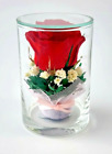 Rose rouge préservée de l'aspirateur fleur fraîchement coupée scellée dans un verre élégant