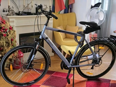 Pegasus Piazza 21 Herrenfahrrad Trekking&City 28 Zoll - Bild 1 von 4