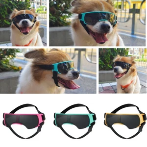 Small Pet Dog Goggles Glasses Snow Windproof UV Protection Sunglasses for Dog - Picture 1 of 13