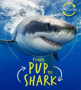 Lifecycles - Pup To Shark... By de la Bedoyere, Camilla, Paperback,Very Good - Picture 1 of 1