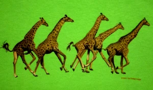 Giraffe T-shirt Youth XS Kids, XS, S, M, L NEW Nature Africa Zoo. High Quality! - Picture 1 of 2