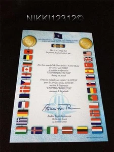NATO LIBYEN UNIFIED PROTECTOR MEDAILLE ZERTIFIKAT IN NEUWERTIGEM ZUSTAND - Bild 1 von 1