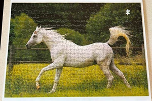 IN THE PADDOCK (Ravensburger 1983) -- 750 Piece Jigsaw Puzzle -- 1 Missing - Picture 1 of 4