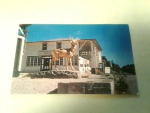 MASSACHUSETTS: JACOB, S LADDER SUMMIT HOUSE & DEER MONUMENT - BECKET, MASSE - Bild 1 von 3