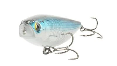 Major Craft Ceana Pencil CPN-110 *Barsch Hecht Rapfen Topwater Stickbait Japan - Bild 1 von 2