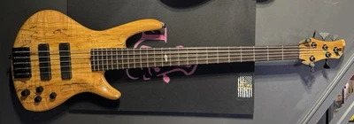 5-струнная бас-гитара Roscoe SKB - Изображение 1 из 4