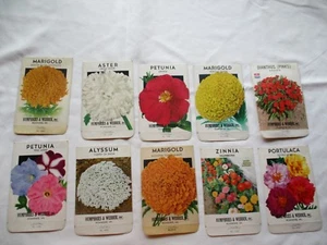 Lot of 10 Antique HUMPHRIES & WEBBER Flower Seed Packet Envelopes  New Old Stock - Picture 1 of 8
