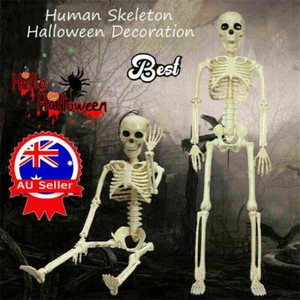 40cm Poseable Human Skeleton Prop Halloween Party Decoration New RK - Picture 1 of 15