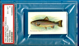 Serie American Tobacco Fish 1910 T58 - Rainbow Trout Psa 6 (Pop 1 - 0 superior) - Imagen 1 de 2