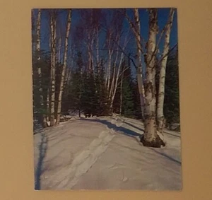 Vintage Christmas Card, Walking Path Through The Birch And Pine Forest - Used - Bild 1 von 3