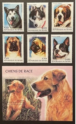 BENIN DOG BREEDS STAMPS SET + S/S 2000 MNH RETRIEVER HUSKY PUG ST BERNARD PET 1 - Image 1 of 3