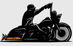 Calcomanías adhesivas Harley Alforjas Davidson Screaming Eagle L/R DORADAS elige color - Imagen 1 de 16