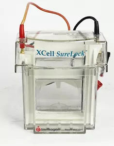 Mini electroforesis celular Invitrogen XCell-SureLock - Imagen 1 de 4