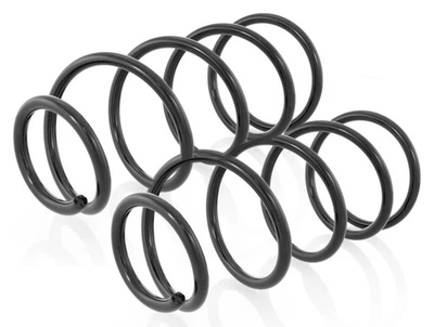 2x Ressort de suspension Avant pour Mazda 5 CR 2005-2010 1.8/2.0, Ford C-Max II - Photo 1/4