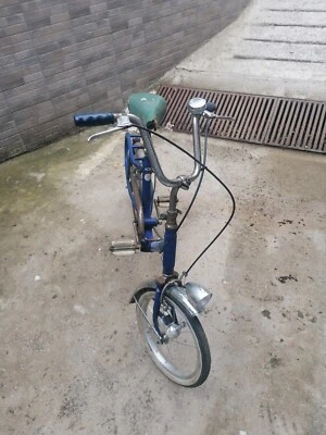 graziella carnielli - Immagine 1 di 4