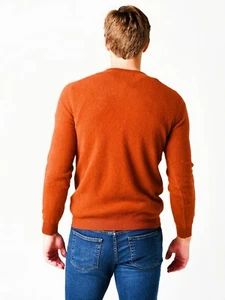 AMERICAN EAGLE Outfitters Hombre Pulóver Ultra Suave Crew Suéter LLAMA NARANJA MED - Imagen 1 de 10