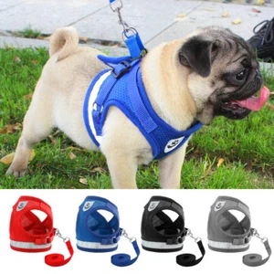 Hundegeschirr Ausbruchsicher mit Leine Reflektierend Mesh Gepolstert S M L XL - Bild 1 von 16