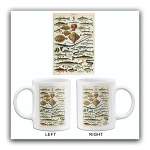 Fish - Poissons - 1909 - Illustration Mug - Picture 1 of 3