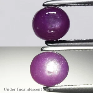 💎 1,10ct Oval Natur Purpur Rot 6 Strahlen Stern Rubin - Unbeheizt Guinea Edelstein - Bild 1 von 6