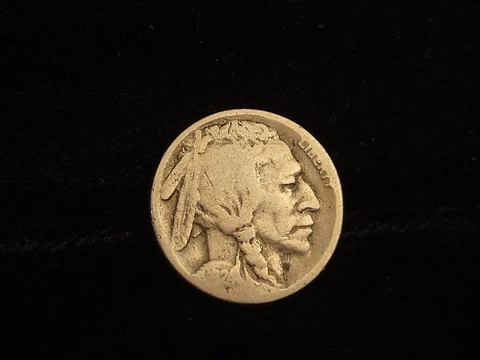 1924-S Buffalo Nickel | Nice Coin Cover