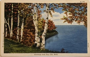 Bay City MI Greetings Autumn Lake Linen Michigan Postcard Birch Trees Mich - Picture 1 of 2