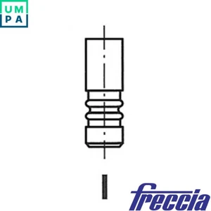 4x OUTLET VALVE R6369/BMCR FOR IVECO F1CE0481A/F1CE0481B/F1CE3481C 3.0L 4cyl - Picture 1 of 10