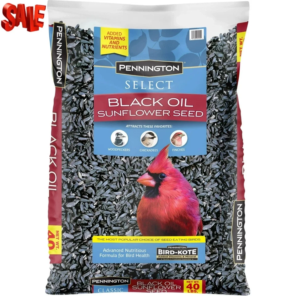 Pennington Select Black Oil Sunflower Seed Wild Bird Feed - 40 Pounds