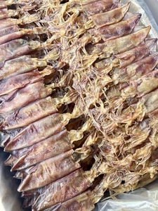 Dried Squid Thailand Whole Body Seafood Snack Clean Fresh High Quality 500g - Picture 1 of 7