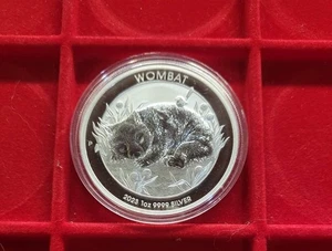 2023 PERTH MINT AUSTRALIAN WOMBAT  1 oz moneta argento silver 9999  FDC UNC - Foto 1 di 2