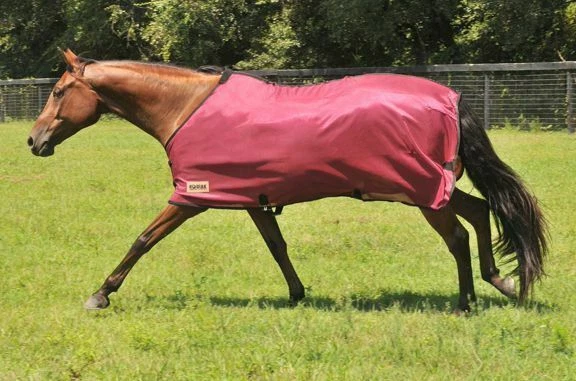 English or Western Saddle Horse Kodiak Scrim Heavy Mesh Fly Sheet 80" Burgundy Foto 1 de 1