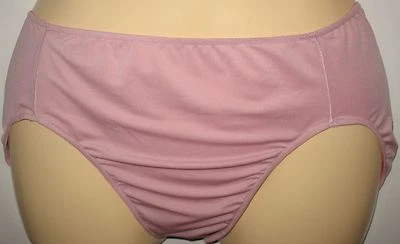 HANES  - NEW - SIZE 8  XL  - MAUVE  - POL STRETCH  BIKINI PANTY  4" SIDES - Image 1 of 2