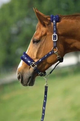 Nylon/Kunstfell Stallhalfter mit Anbindestrick im Set - Bild 1 von 4